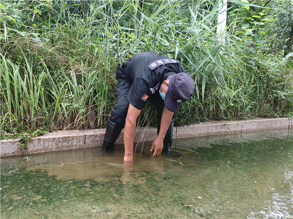 風雨來襲 中土物業按時赴約…